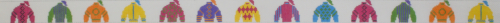 Jockey Silks – Bright