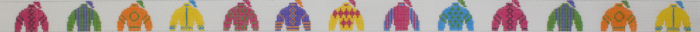 Jockey Silks - Bright