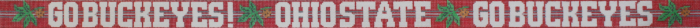Ohio State Buckeyes #2