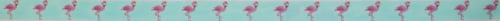 Flamingos