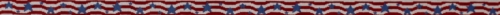 US Flag #4