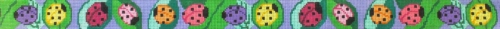 Colorful Ladybugs