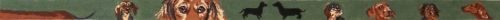 Wiener Dog