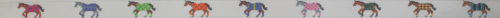 Horses Wearing Blankets
