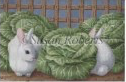 Cabbage Patch Bunnies Cabbage Patch Bunnies
