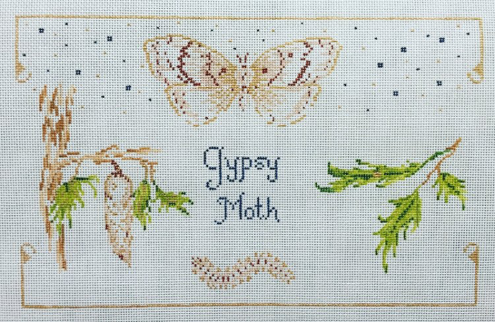 Gypsy Moth