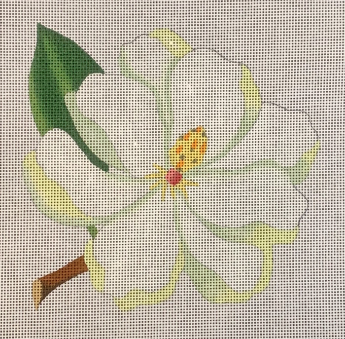 Magnolia Bloom