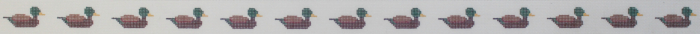 Mallard Ducks