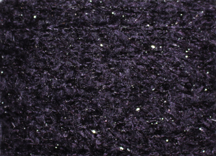 Blueberry
