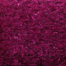 Cranberry