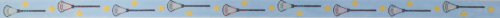 Lacrosse Sticks