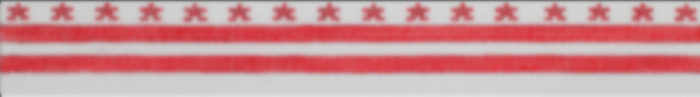 Washington DC Flag