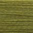 Lemon Grass