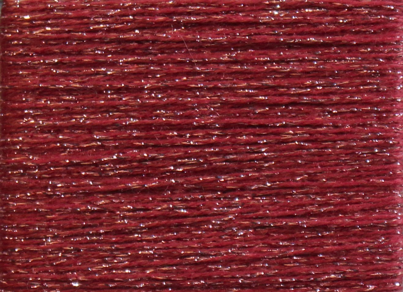 Calypso Coral