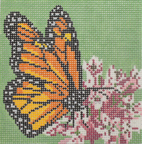 Monarch on Milkweed