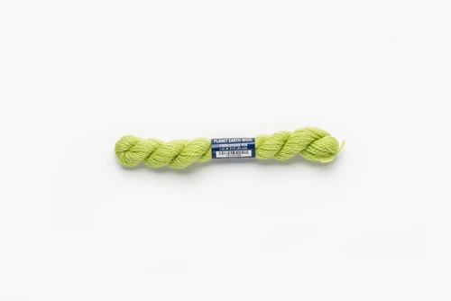 Fiddlehead