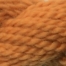 Nectarine