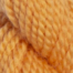 Pumpkin Pie