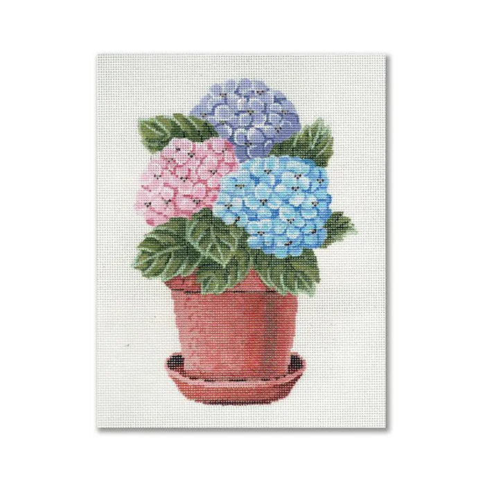 Pot of Hydrangeas