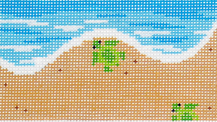 Shoreline-Turtle