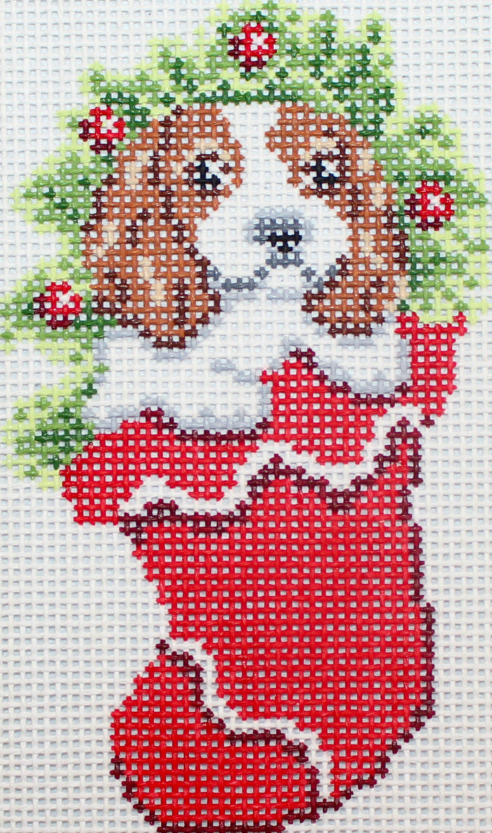 Dogs in Stockings - Cavalier