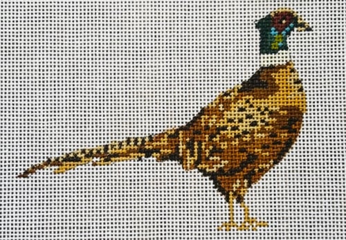 Pheasant