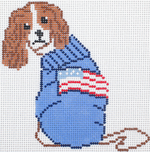 Sweater-Cavalier