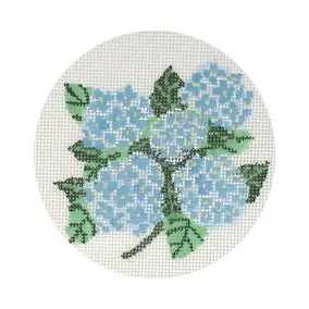 Hydrangea