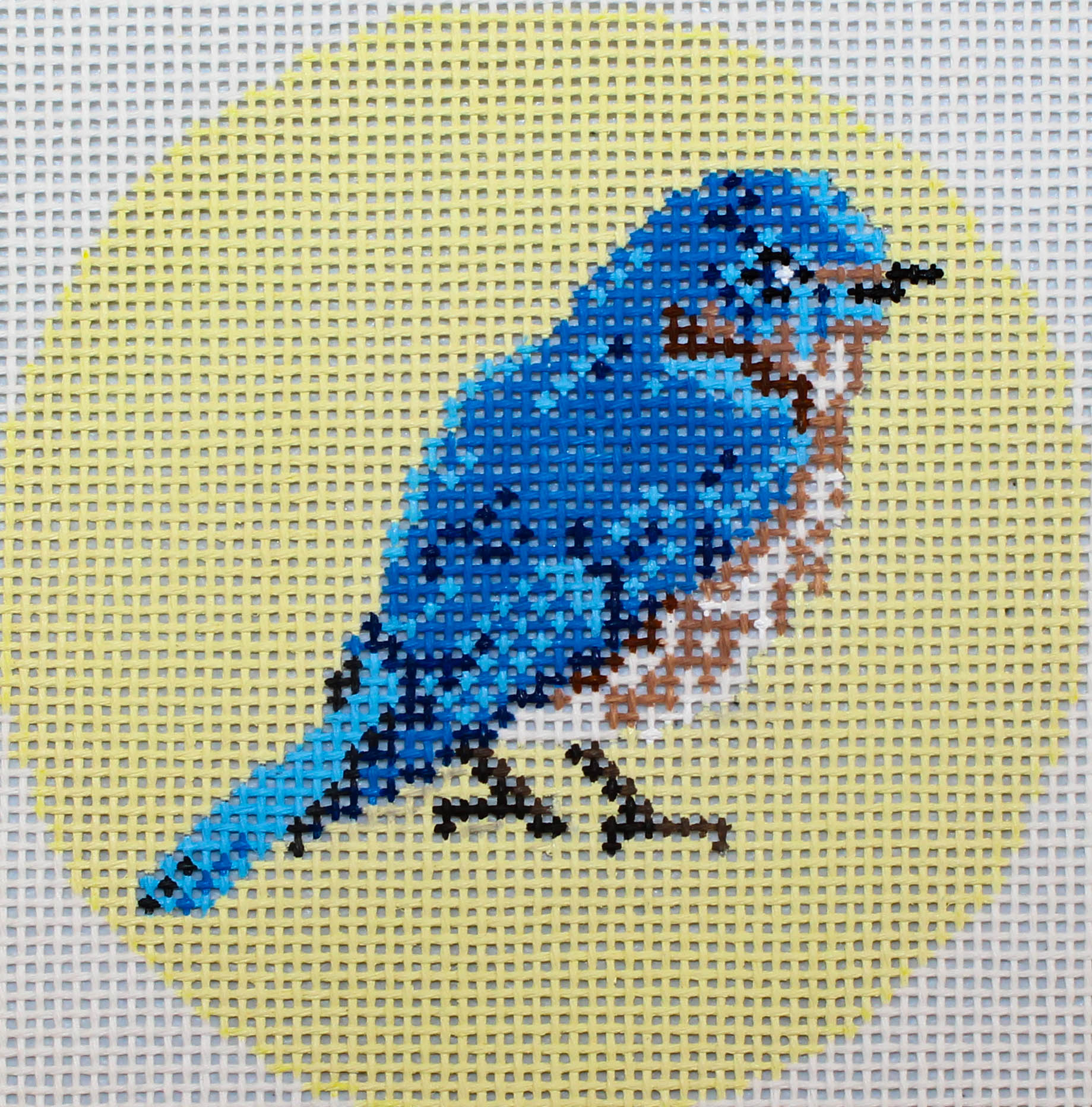 Blue Bird