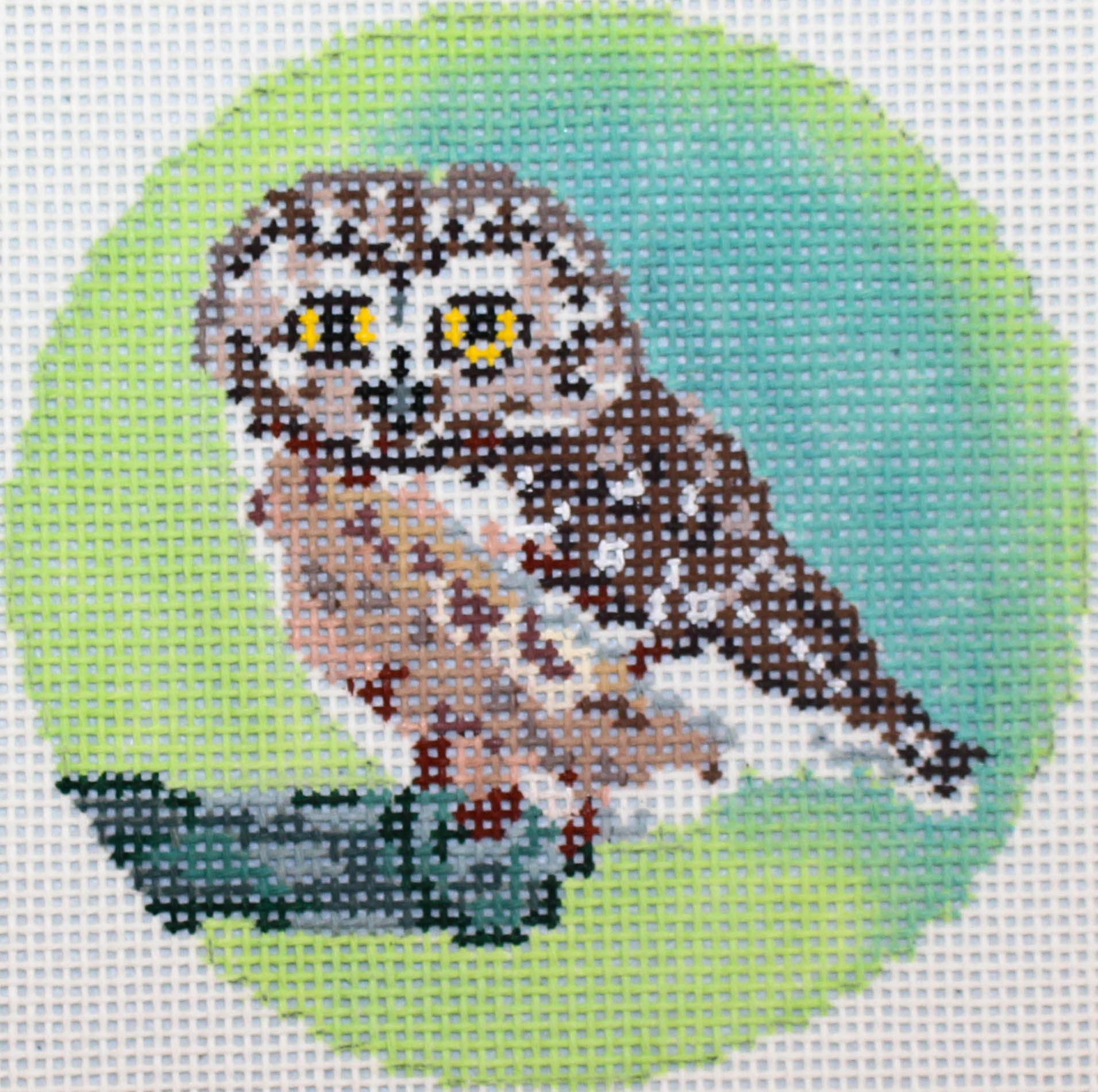 Saw Whet Owl