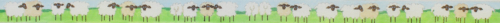 Sheep in the Field