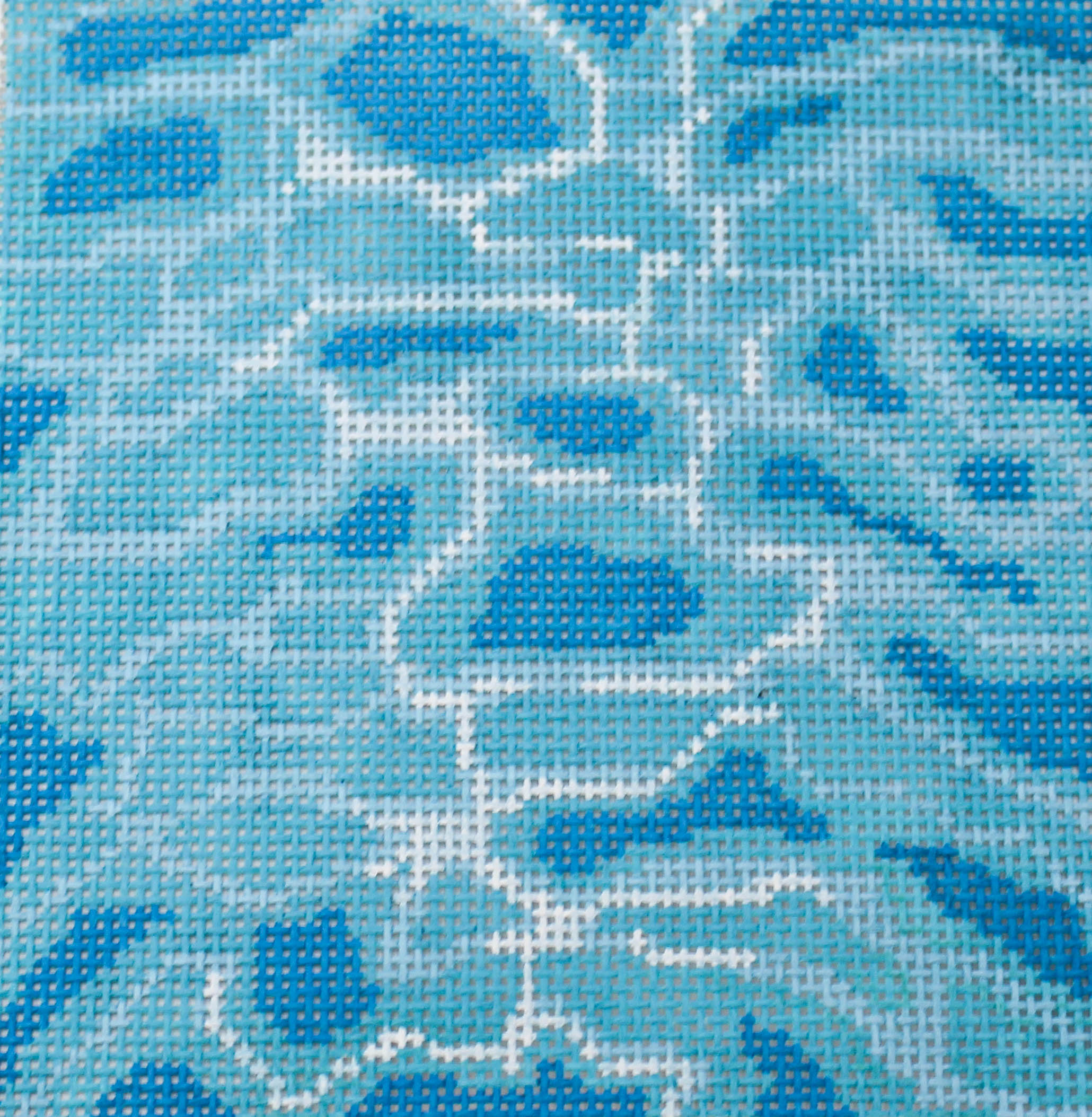 Pool Water