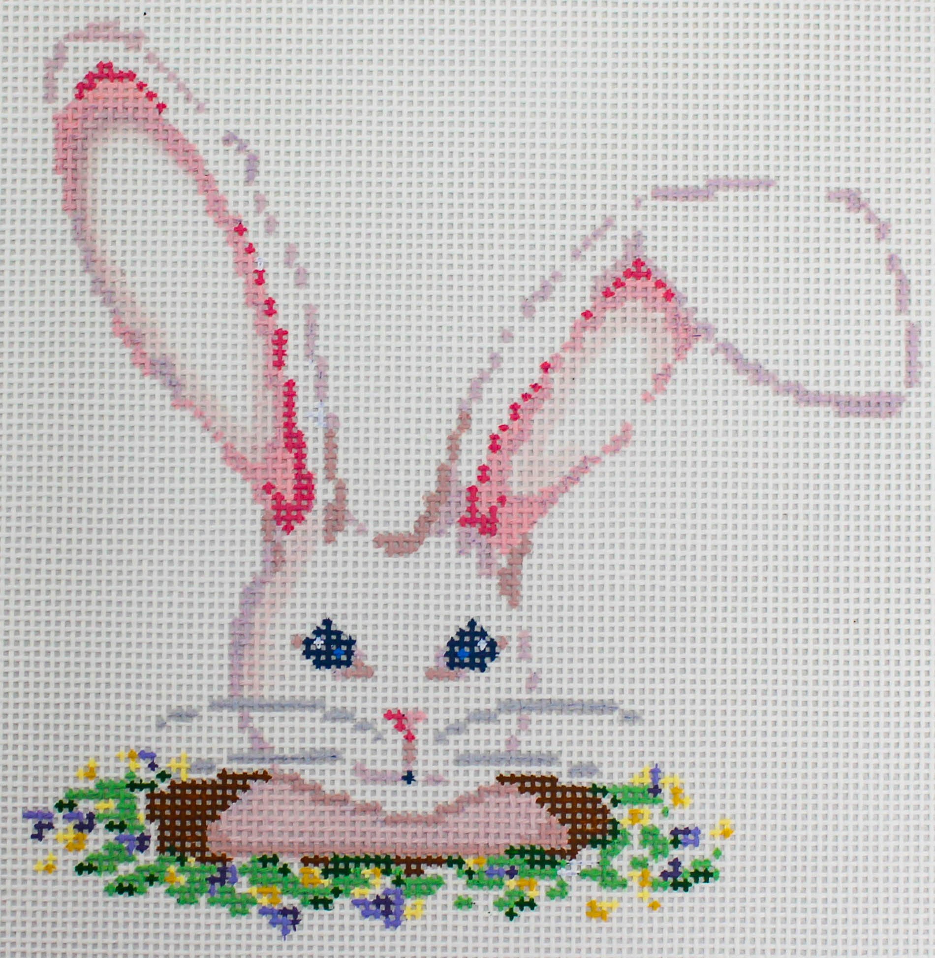 Rabbit Hole