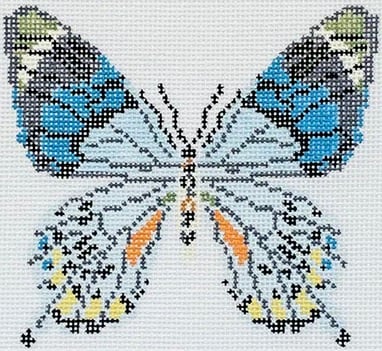 Blue Grey Butterfly Blue Grey Butterfly