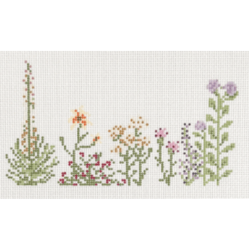 Kansas Wildflowers