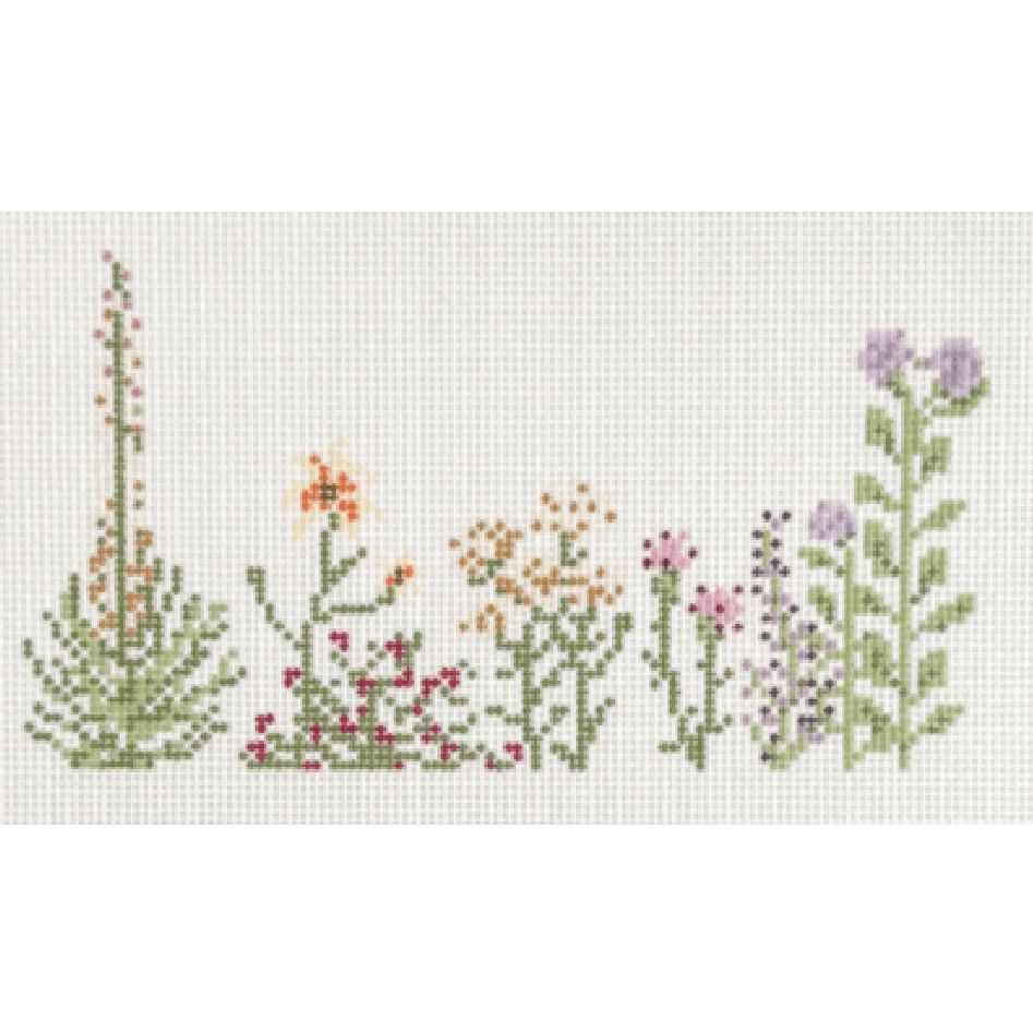 Kansas Wildflowers