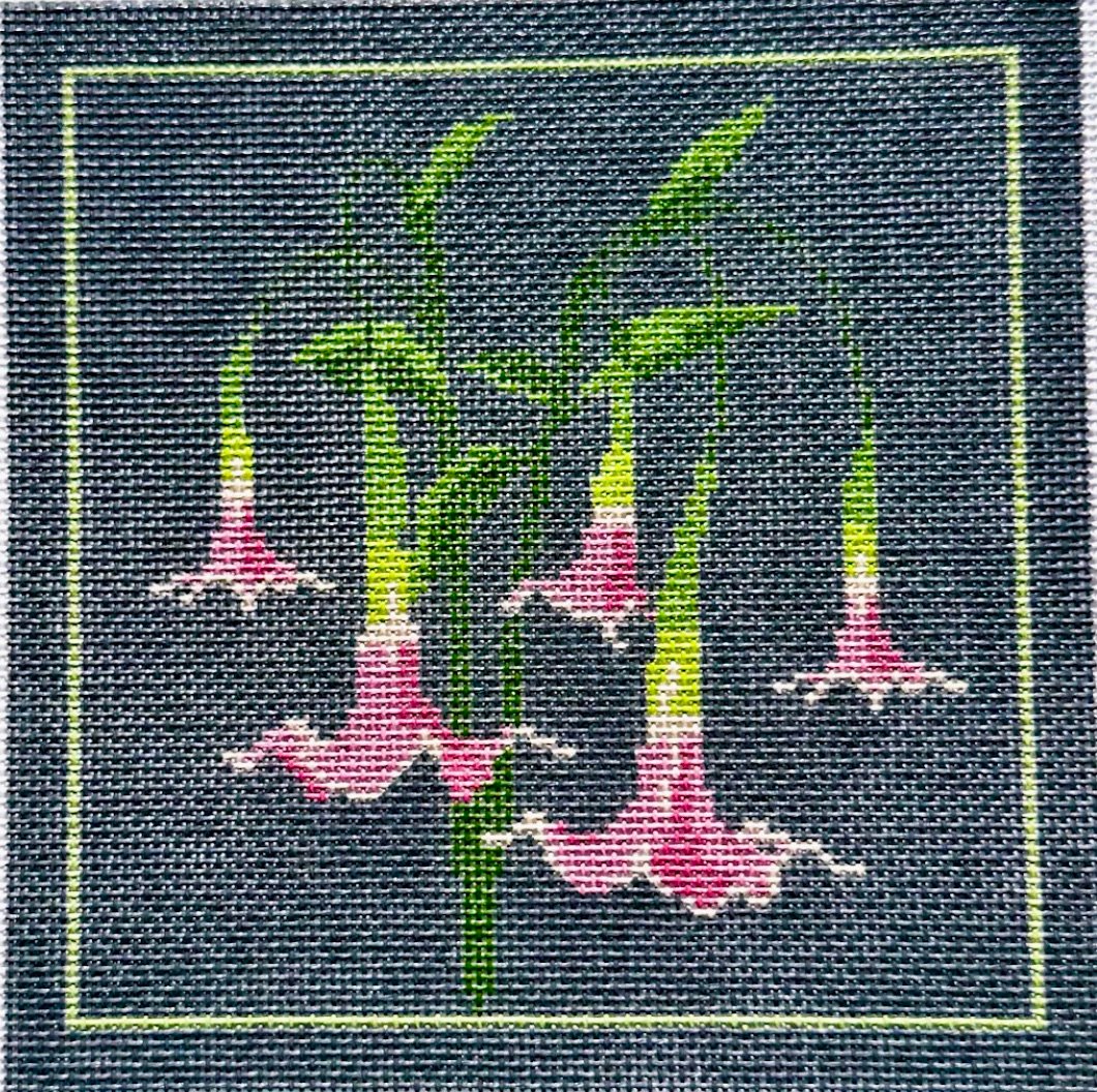 Angel’s Trumpet Angel’s Trumpet