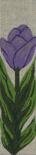 Tulip Tulip