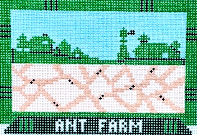 Ant Farm Ant Farm