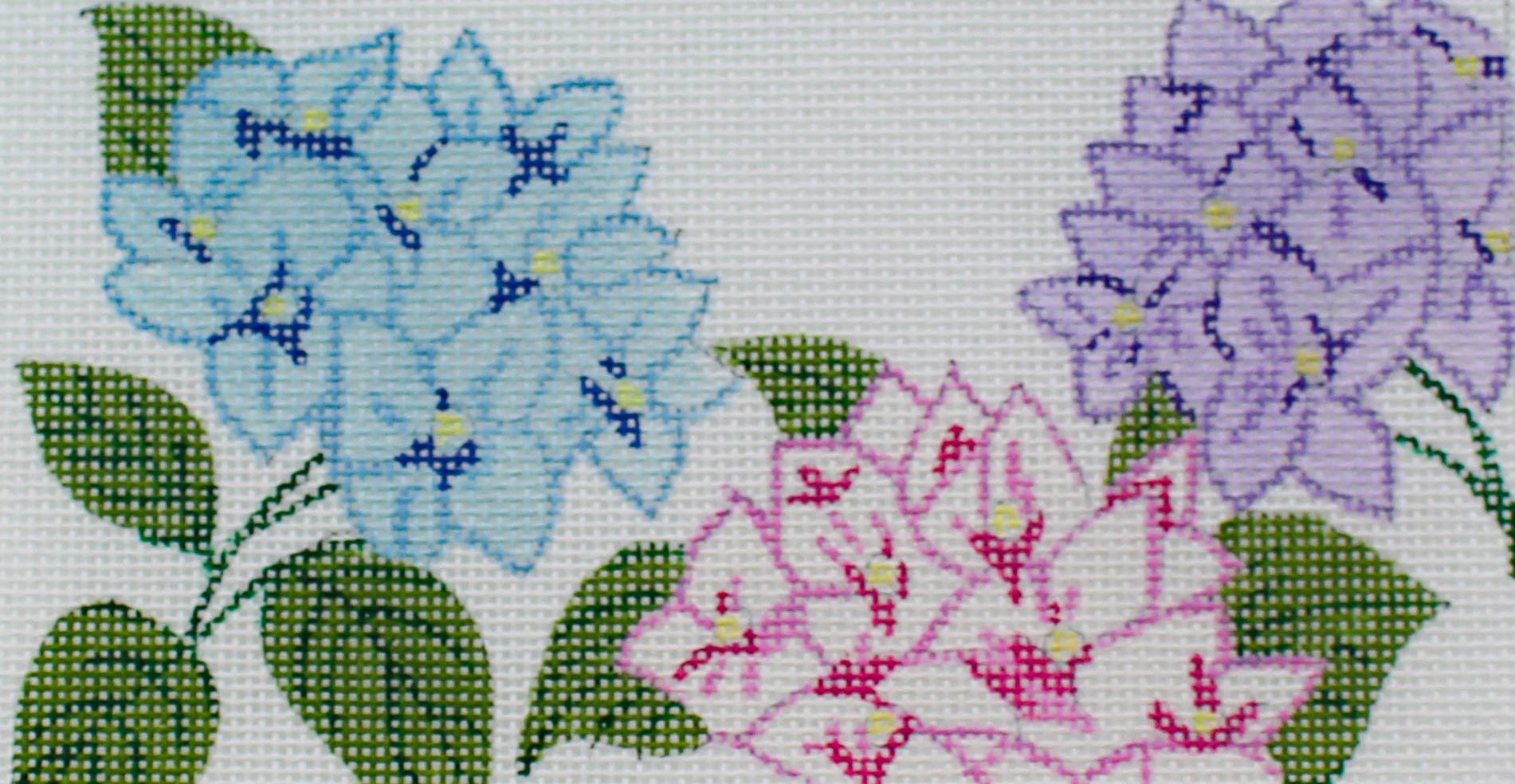 Hydreangea Hydreangea