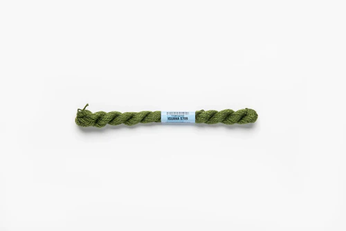 Iguana – Skein