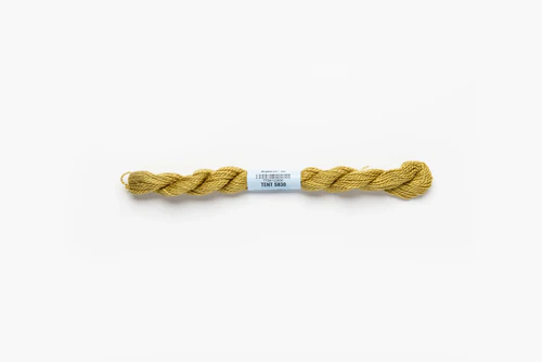 Tent – Skein Tent – Skein