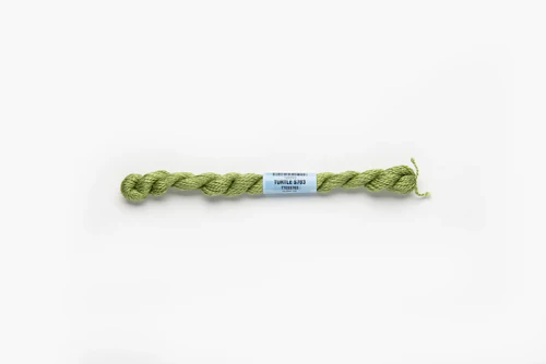 Turtle – Skein Turtle – Skein
