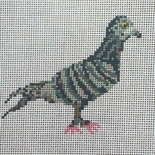 Pigeon