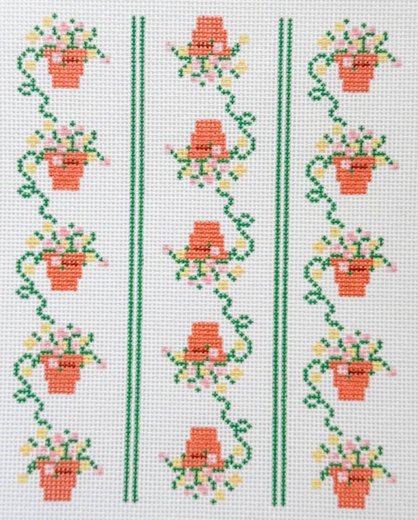 Potted Pansy Potted Pansy