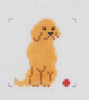 Mini Golden Retriever