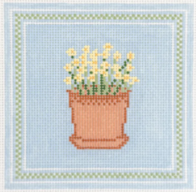 Daffodils