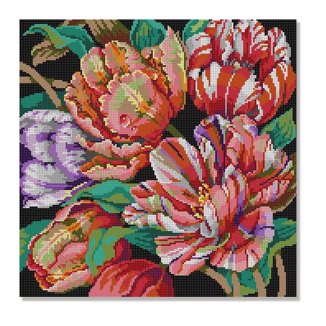 Parrot Tulip Parrot Tulip