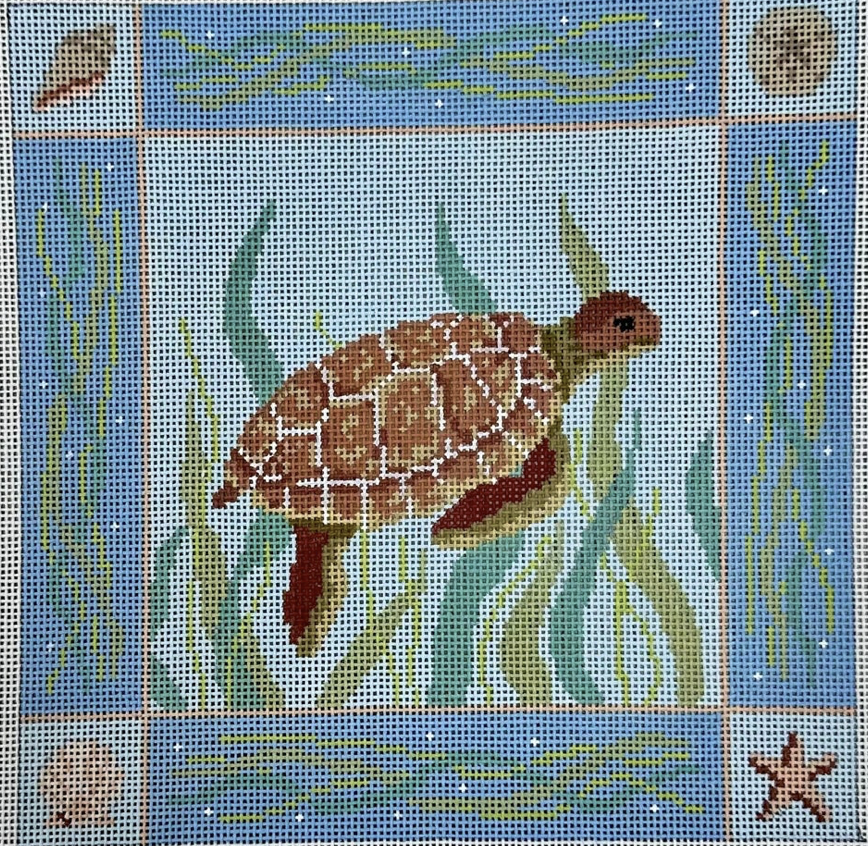 Sea Turtle Sea Turtle