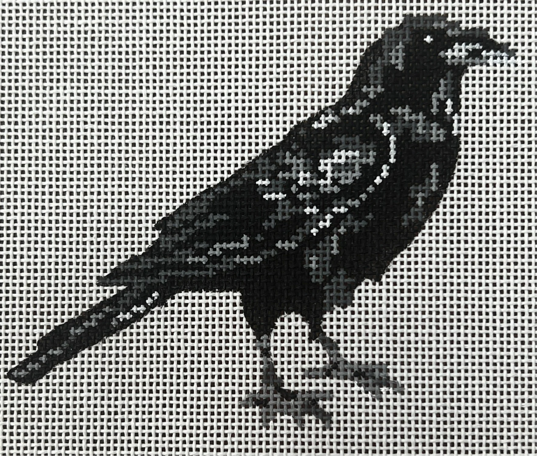 Crow Sitting Crow Sitting